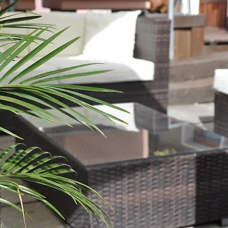 Han/Misafirhane Traube