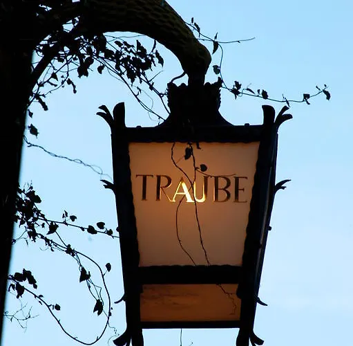 Han/Misafirhane Traube Scuol