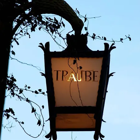 Han/Misafirhane Traube Scuol